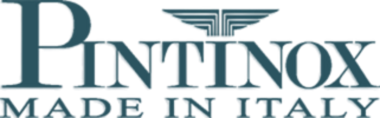 Logo Pintinox