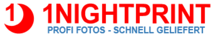 Logo 1NIGHTPRINT