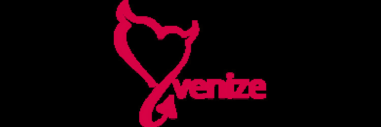 Logo venize