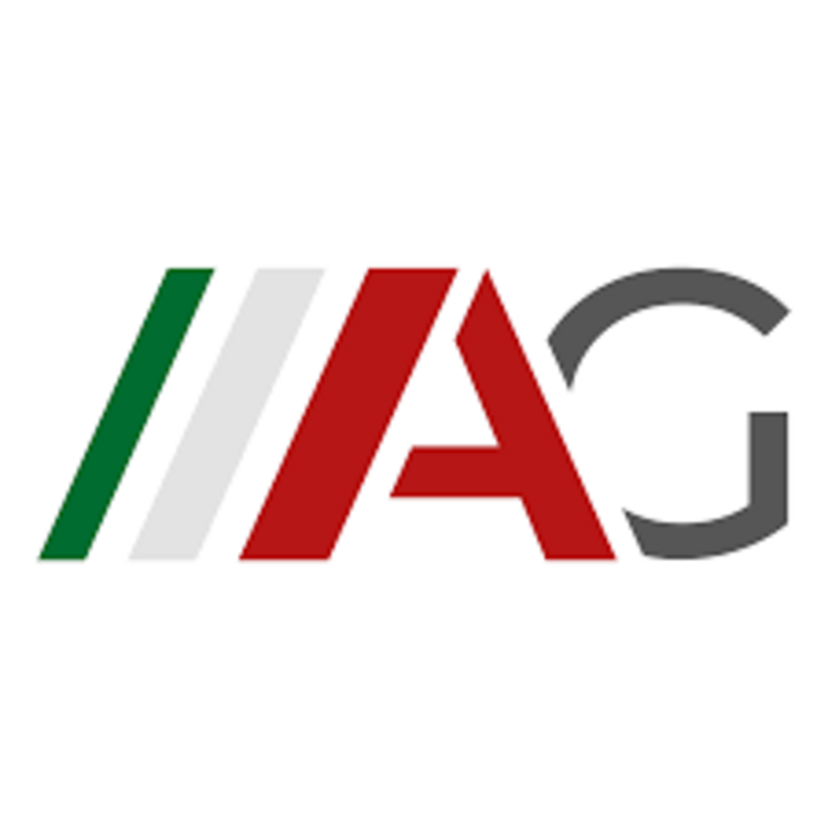 Logo augustin-group