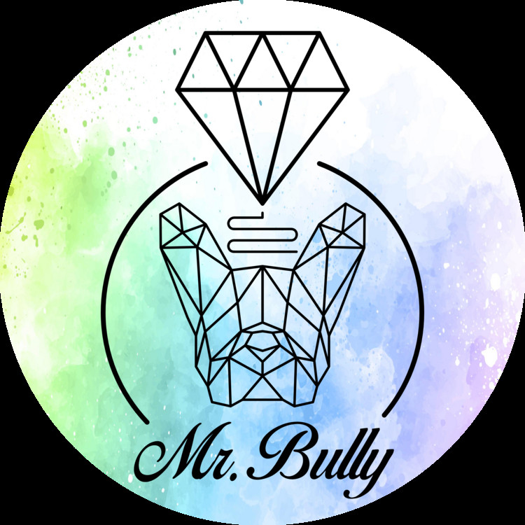 Logo Mr. Bully