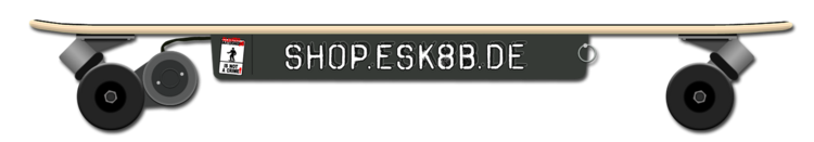Logo Elektro-Skateboard