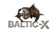 Logo Baltic-X