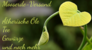 Logo Mooserde Versand