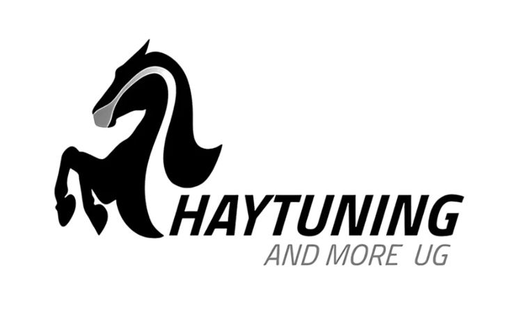 Logo Haytuning and More