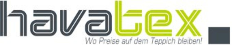 Logo havatex