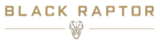 Logo Black Raptor