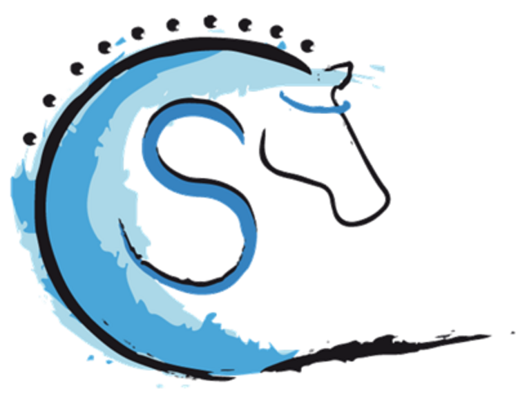 Logo Crystal-Stirnbänder