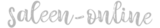 Logo saleen-online