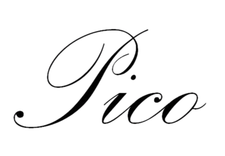 Logo Pico Copenhagen