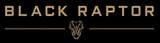 Logo Black Raptor