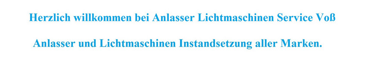 Logo Anlasser Lichtmaschinen Service