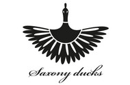 Logo Saxony Ducks