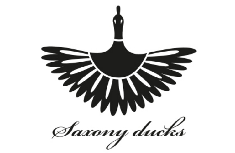 Logo Saxony Ducks