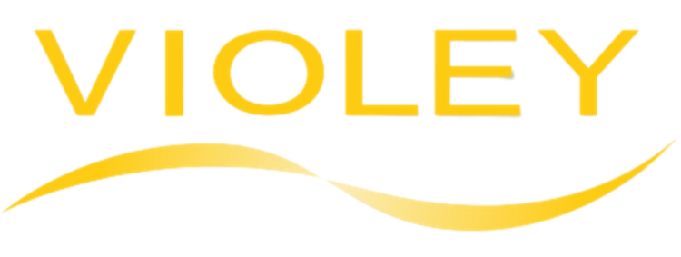 Logo Violey