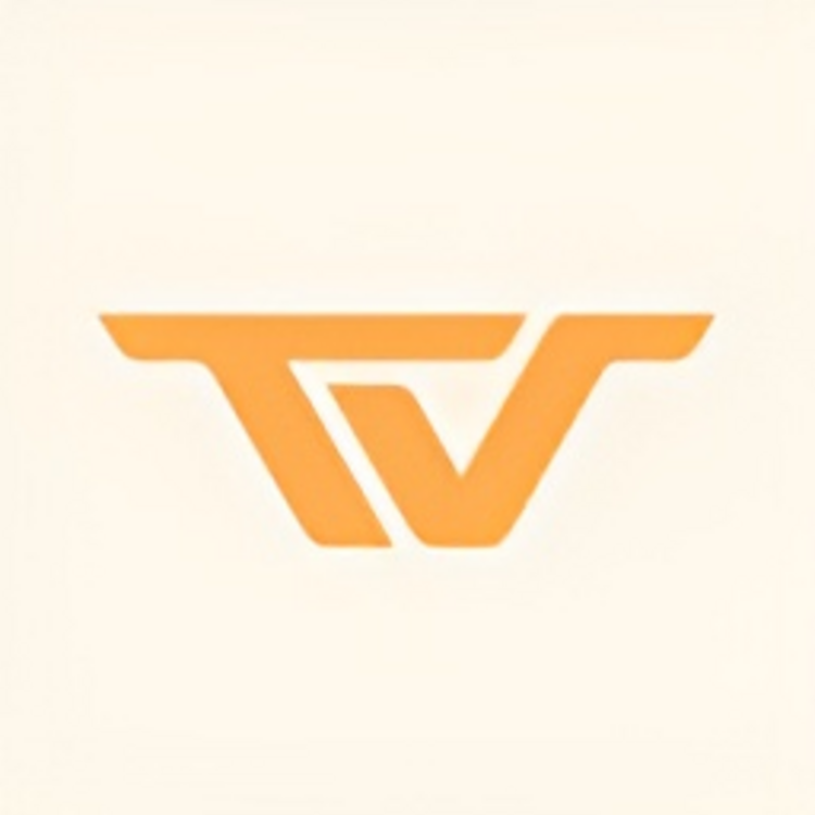 Logo Trendt Vision