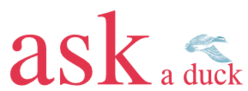 Logo ask a duck