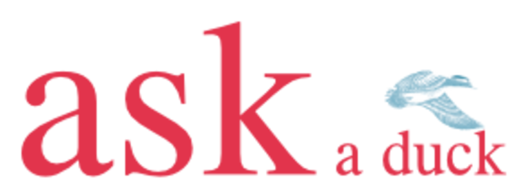 Logo ask a duck