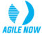 Logo AGILE NOW
