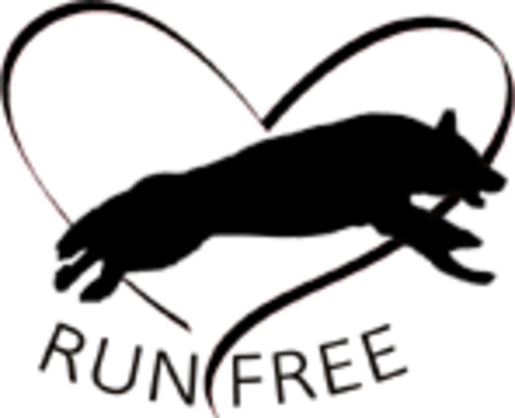 Logo Der Hundeleinen Shop