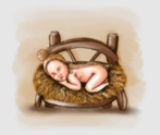 Logo Newbornflokati
