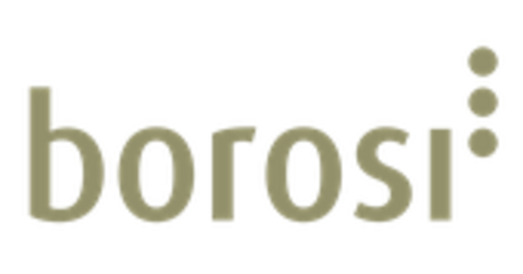 Logo Borosi